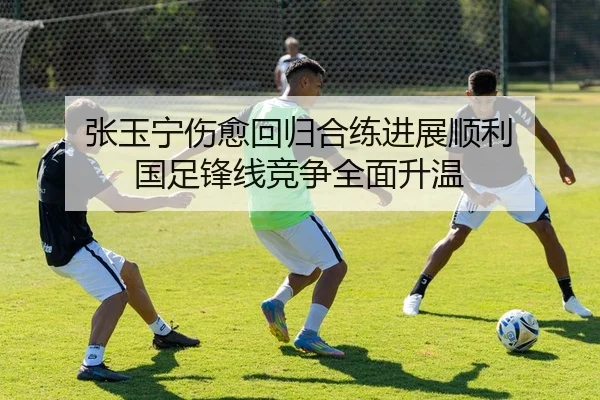 张玉宁伤愈回归合练进展顺利 国足锋线竞争全面升温