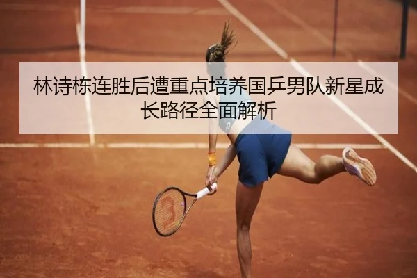 林诗栋连胜后遭重点培养国乒男队新星成长路径全面解析