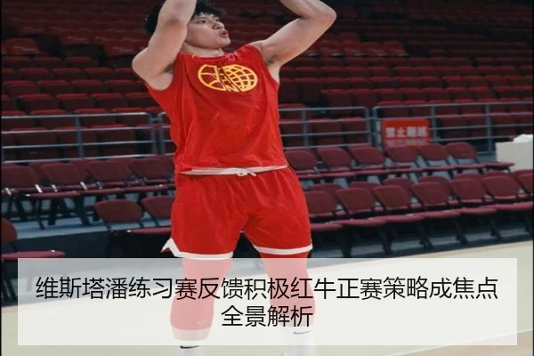 维斯塔潘练习赛反馈积极红牛正赛策略成焦点全景解析